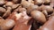 Extreme close-up of detailed coffee beans and bittersweet chocolate chunks with whole hazelnuts