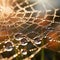 Extreme close-up of a dewdrop on a spider web, sparkling in morning sun, intricate web patterns