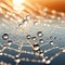 Extreme close-up of a dewdrop on a spider web, sparkling in morning sun, intricate web patterns