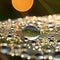 Extreme close-up of a dewdrop on a spider web, sparkling in morning sun, intricate web patterns