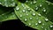 Extreme close-up dewdrops on leaves. Macro view of a rain-soaked leaf covered in droplets, texture, rainy day. AI generated.