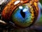 Extreme close-up of a dragonfly eye, showing the intricate pattern and colors