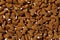 Extreme close up of dry cat or dog food viewed from above. Macro pet food background texture