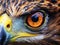 Extreme close-up of a eagle eye, showing the intricate pattern and colors