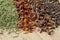 Extreme close up of herbs and spices on a wooden cutting board. Macro shot of savory, paprika, clove and pepppercorn