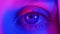 Extreme close up of human eye iris under neon light 4K. Female with beautiful makeup, glitter shadows. Womens eye