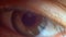 Extreme Close-up Male Human Eye Blinking