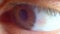 Extreme Close-up Male Human Eye Blinking