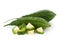 Extreme Close-Up of Organic Indian bitter gourds Momordica charantia or fresh Green Karela, chopped, diced or sliced, isolated