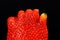 Extreme close up of an unusual strawberry fruit looking like human hand or foot fingers on black background