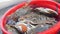 Extreme close-up view of crabs in a red plastic colander sold at the market.