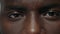 Extreme closeup african american man looking at camera. African guy face