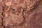 Extreme closeup detail of grilled boneless meat