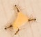 Extreme closeup of four ants carrying cheese