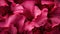 Extreme Closeup of Hibiscus Petals AI Generated