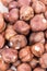 Extreme closeup macro bunch of hazelnuts background