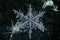Extreme closeup of natural snowflakes