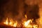 Extreme closeup of raging grass wildfire at night. Inspiration for danger, bushfire warning, posters or memes. Wallpaper or
