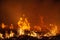 Extreme closeup of raging grass wildfire at night. Inspiration for danger, bushfire warning, posters or memes. Wallpaper or