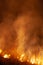 Extreme closeup of raging grass wildfire at night. Inspiration for danger, bushfire warning, posters or memes. Wallpaper.