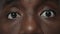 Extreme closeup surprised african american male eyes looking at camera.