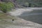 Extreme Drought Conditions â€“ Cattle Resting Beside an Empty Reservoir