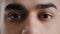 Extreme facial close up young hispanic male eyes arab man with brown eyeballs blinking looking at camera demonstrate