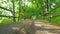 Extreme low angle view close to asphalt road while moving in leaves forest. Wooden small bridge on the road. Colorful leaves