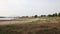 Extreme low water line in river Rhine DÃ¼sseldorf in extreme drought with no rainfall causes drying out riverbed