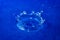 Extreme macro. High speed photography. Splash of water droplets forms a crown. Blue background