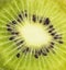 Extreme macro kiwi