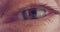 Extreme macro shot of a brown human eye