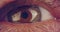 Extreme macro shot of a brown human eye
