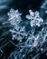 Extreme macro shot of snowflake ice crystal texture