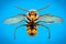 Extreme magnification - Giant Wasp with spread wings