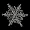 Extreme magnification - Real snowflake