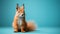 Extreme Minimalist Photography Of Cute Squirrel In Wes Anderson Style