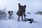 The extreme north, Yamal,   reindeer in Tundra , open area, assistant reindeer breeder,  the men  in national clothes