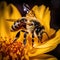 Extreme photographs with a macro lens of different insects