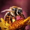 Extreme photographs with a macro lens of different insects