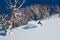 Extreme pro skier shredding the deep powder snow in the sunny Japanese mountains