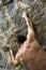 Extreme rock climber