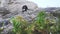 Extreme rock climber climbs difficult route view through the grass on the mountains