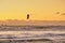 Extreme Sport Kitesurfing, cargo ships on the horizon. Surfer in the sea at Scheveningen at sunset