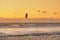 Extreme Sport Kitesurfing, cargo ships on the horizon. Surfer in the sea at Scheveningen at sunset