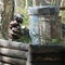 Extreme team sport. The player in the paintball looks out of hiding. Camouflage suit, protective mask and weapons. Tires, barrels,
