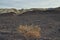 Extreme terrain landscape Mojave Desert, Death Valley, California USA