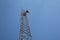 Extreme upward view of a telecommunications tower, microwave antennas and telecom transmission, blue sky copy space