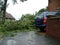 Extreme weather, high winds, danger fallen tree.