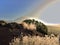 Extreme weather phenomenon in the Teide National Park, with a view of the Teide by Calima